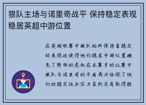 狼队主场与诺里奇战平 保持稳定表现稳居英超中游位置