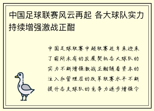 中国足球联赛风云再起 各大球队实力持续增强激战正酣