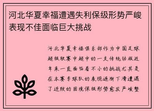 河北华夏幸福遭遇失利保级形势严峻表现不佳面临巨大挑战